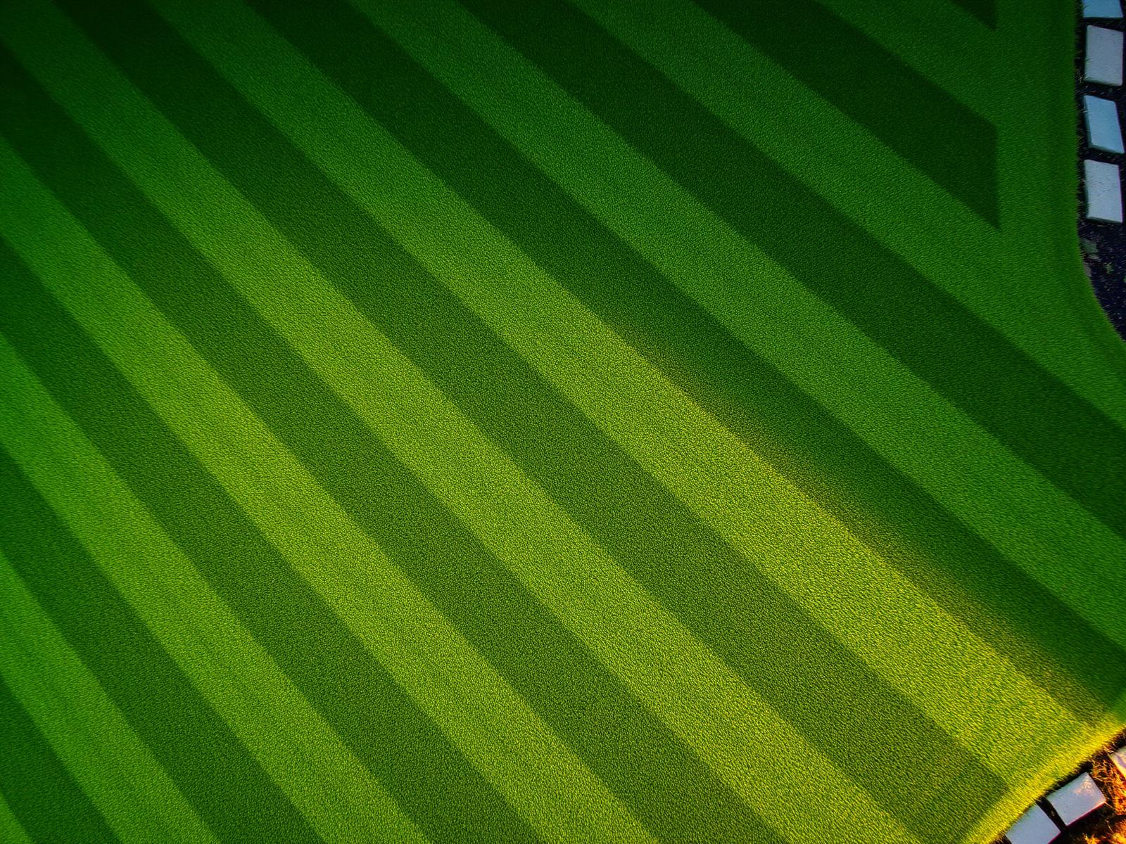 Freshly striped green lawn from above